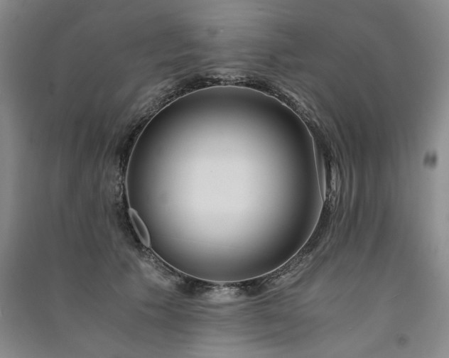 X0000091520609200708171218