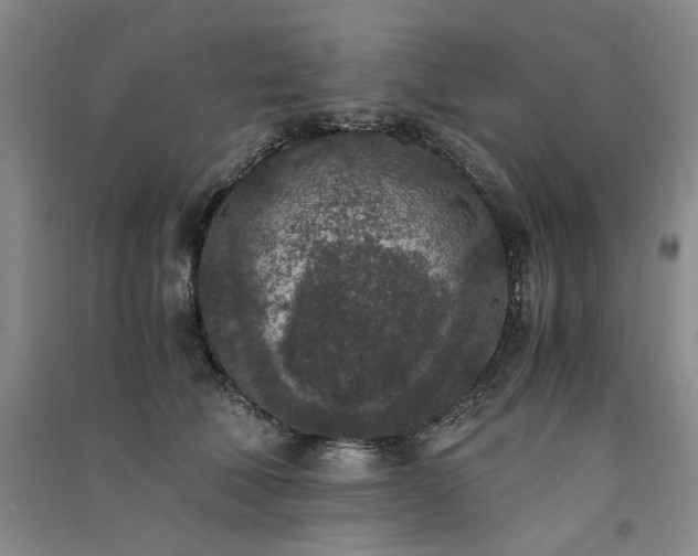 X0000091520610200708171218