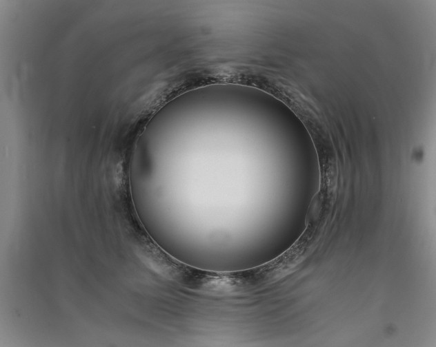 X0000091520611200708171218