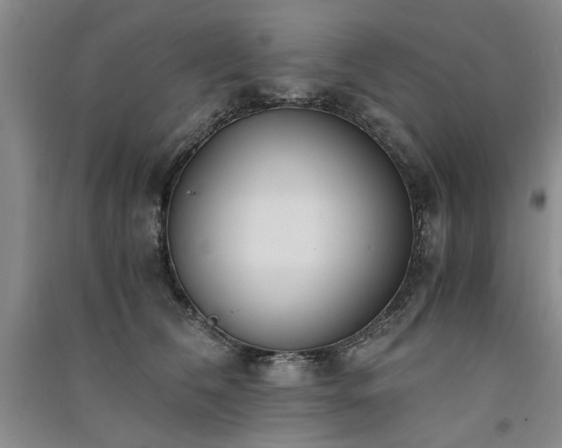 X0000091520612200708171218