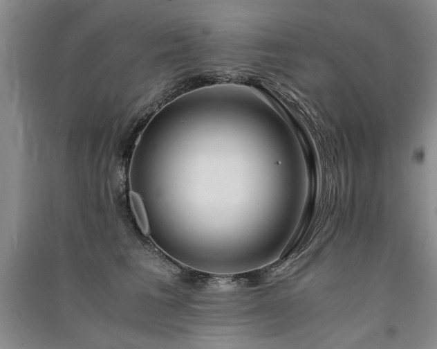 X0000091520613200708171218