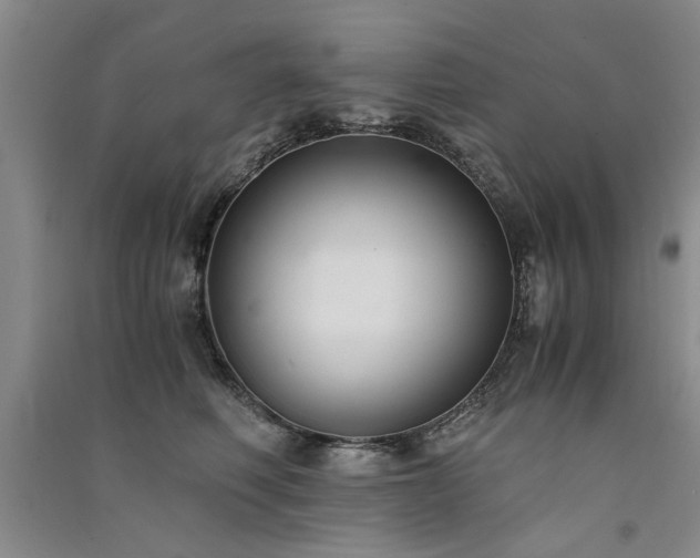 X0000091520614200708171218