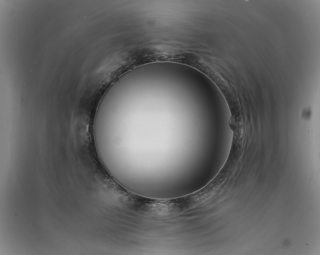 X0000091520615200708171218