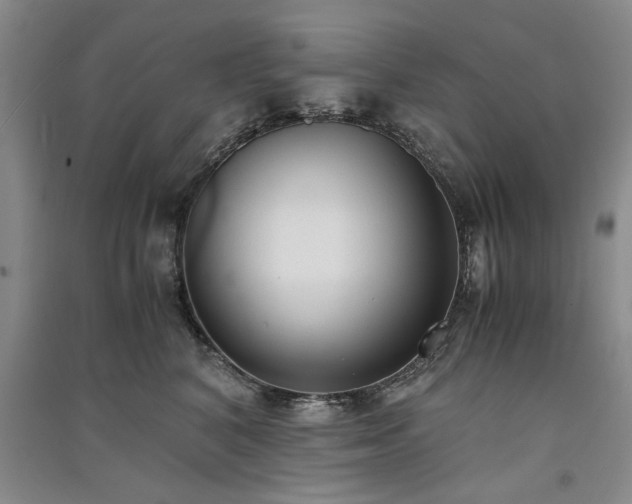 X0000091520616200708171218