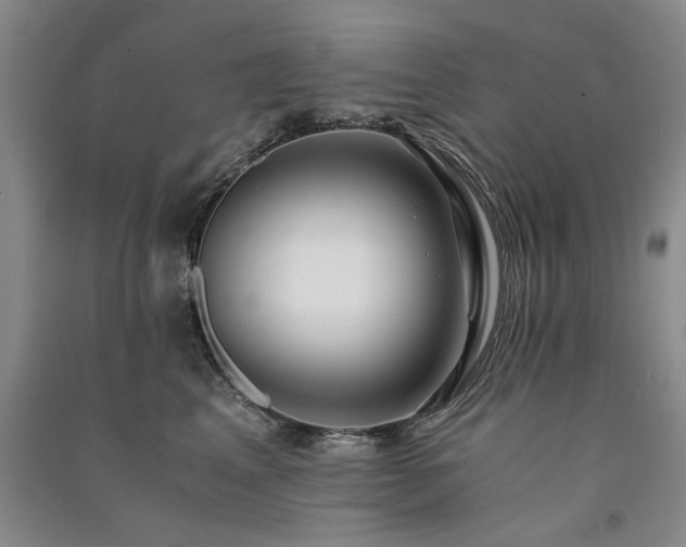X0000091520617200708171218