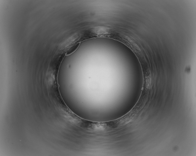 X0000091520618200708171218