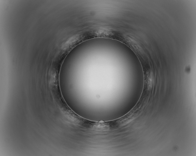 X0000091520619200708171217