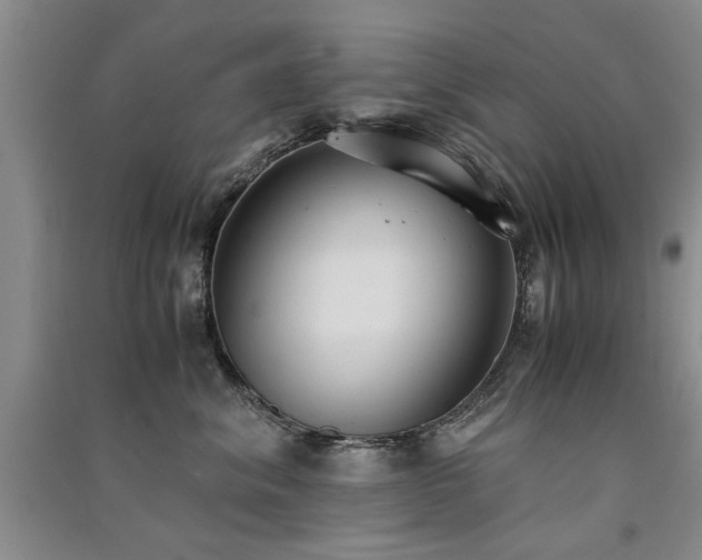 X0000091520620200708171217