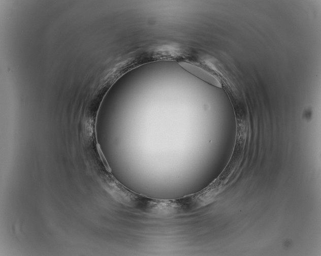 X0000091520621200708171217