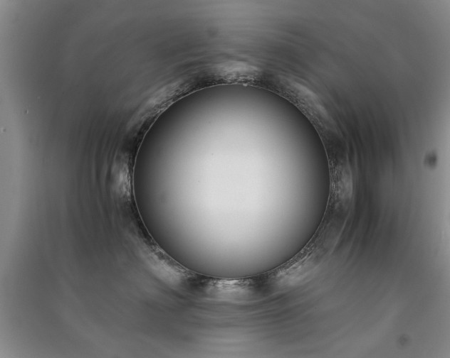 X0000091520622200708171217