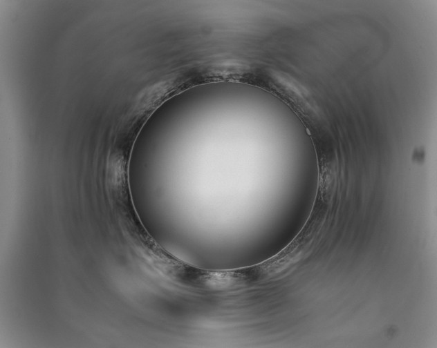 X0000091520623200708171217