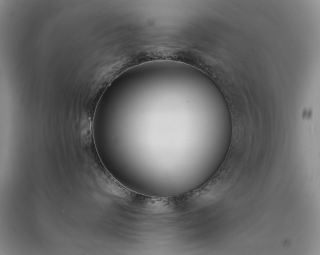 X0000091520624200708171217