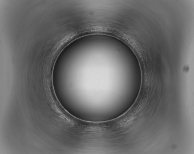 X0000091520625200708171217