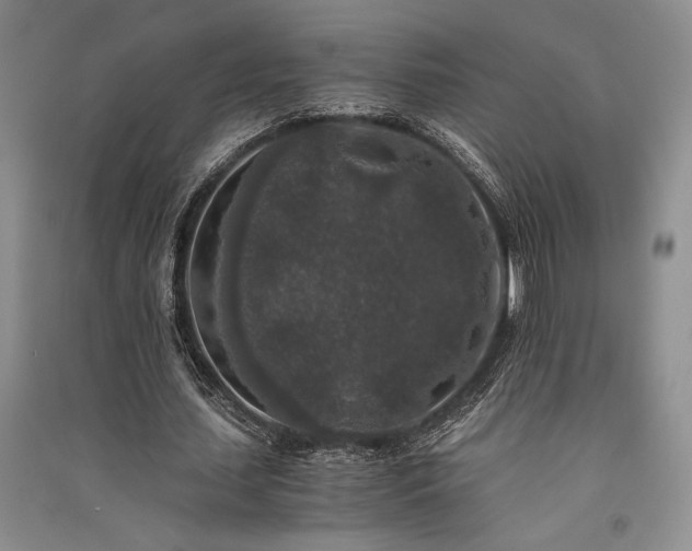 X0000091520627200708171217