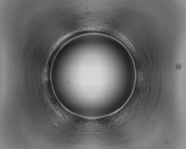 X0000091520628200708171217
