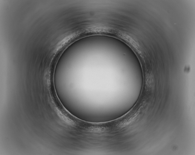 X0000091520629200708171217