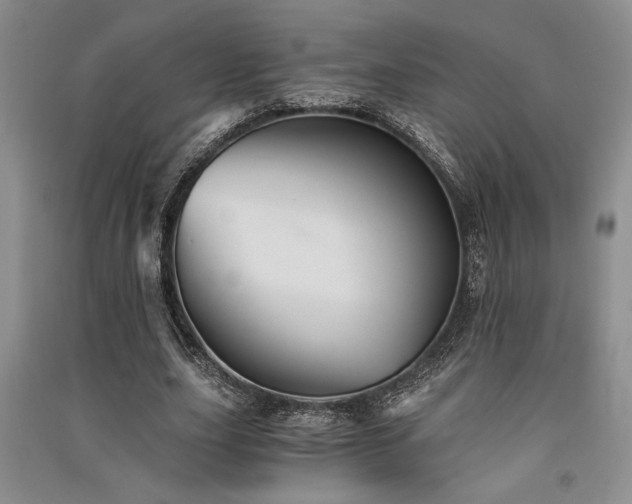 X0000091520631200708171217