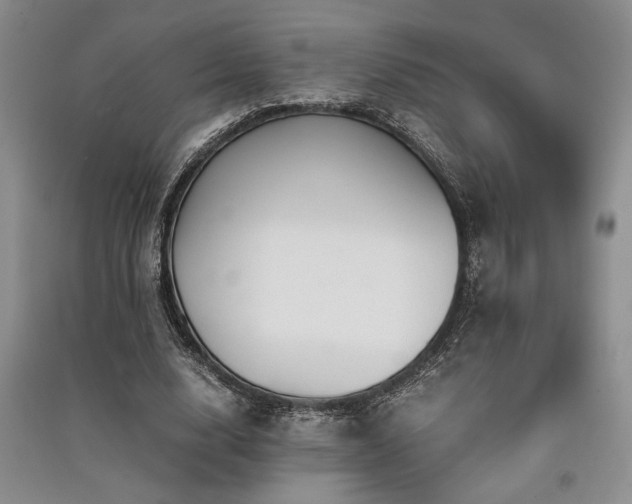 X0000091520632200708171217