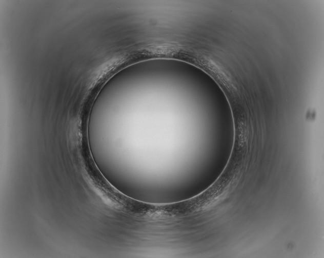 X0000091520634200708171217