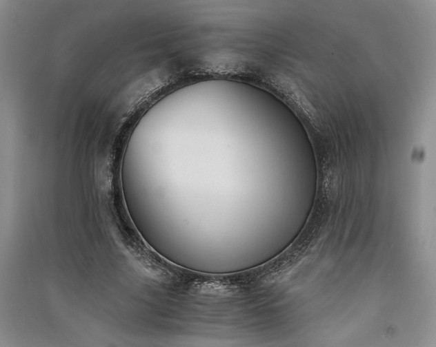 X0000091520635200708171217
