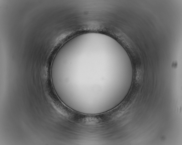 X0000091520636200708171217