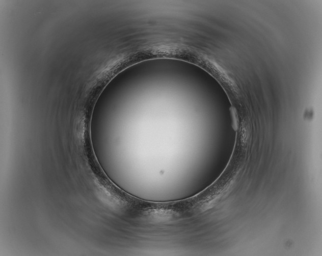 X0000091520637200708171217