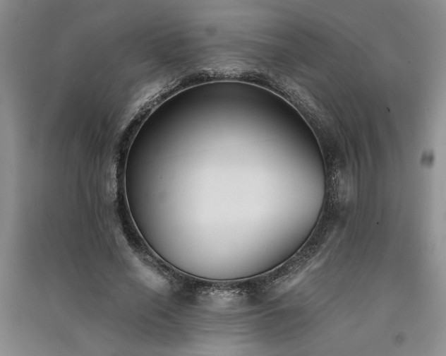 X0000091520638200708171217