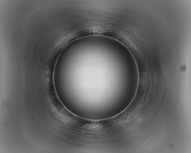 X0000091520639200708171217