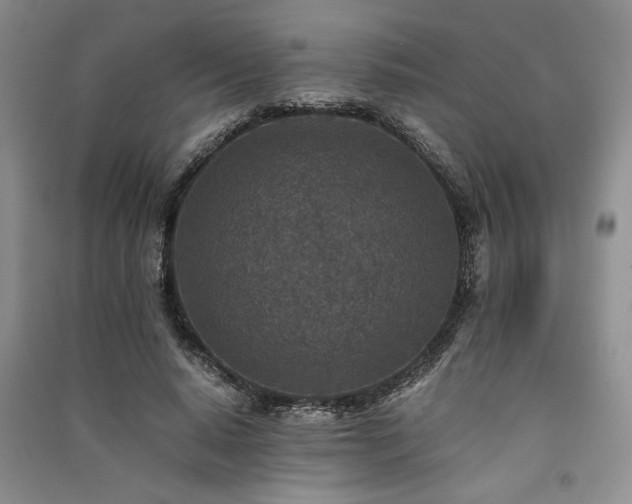 X0000091520640200708171217