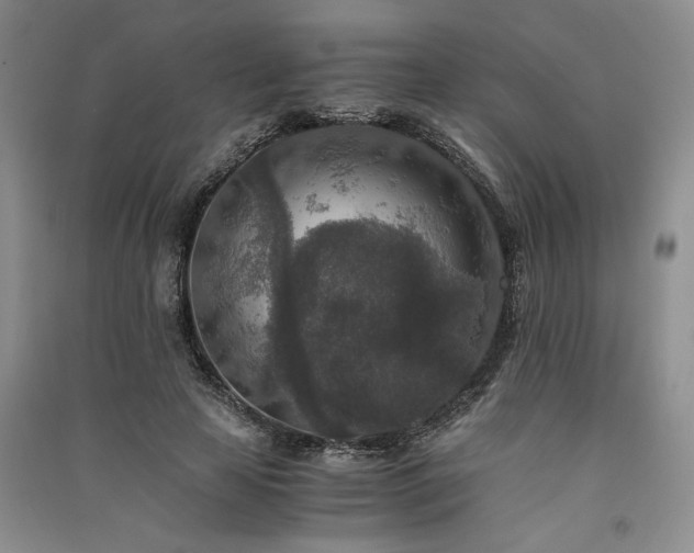 X0000091520641200708171217