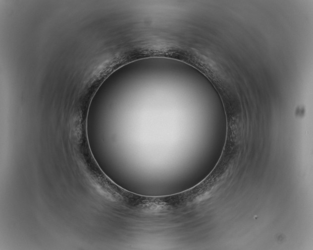 X0000091520642200708171217
