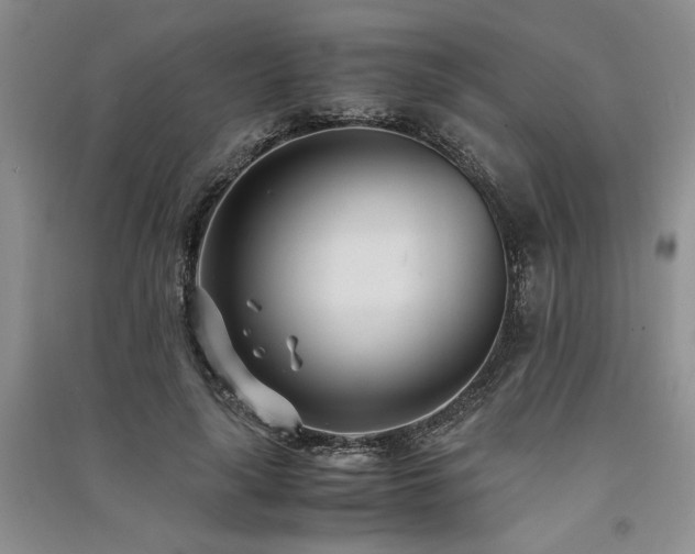 X0000091520643200708171217