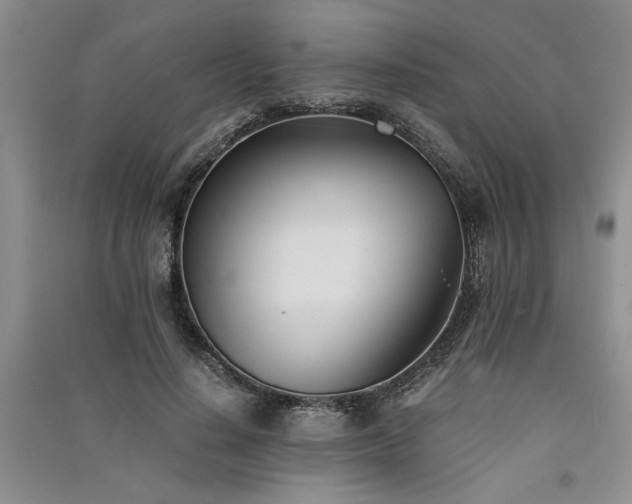 X0000091520644200708171217