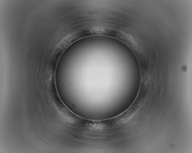 X0000091520645200708171217