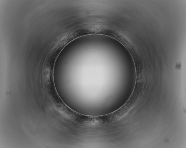 X0000091520646200708171217