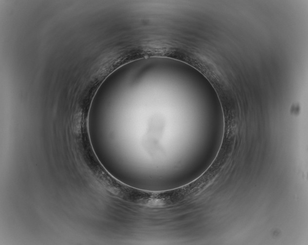 X0000091520647200708171217