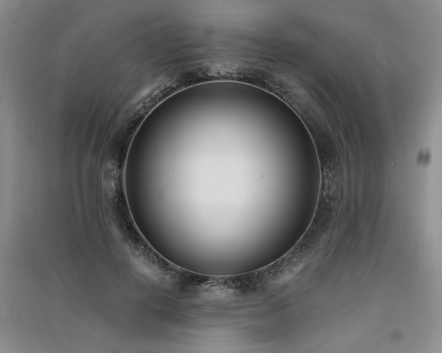 X0000091520648200708171217