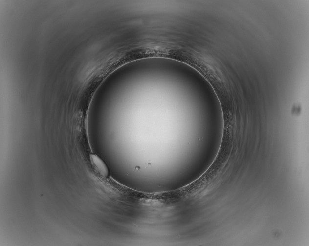 X0000091520649200708171217