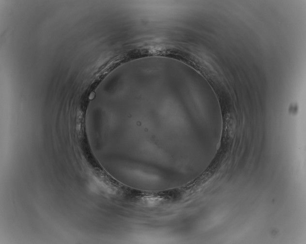 X0000091520650200708171217