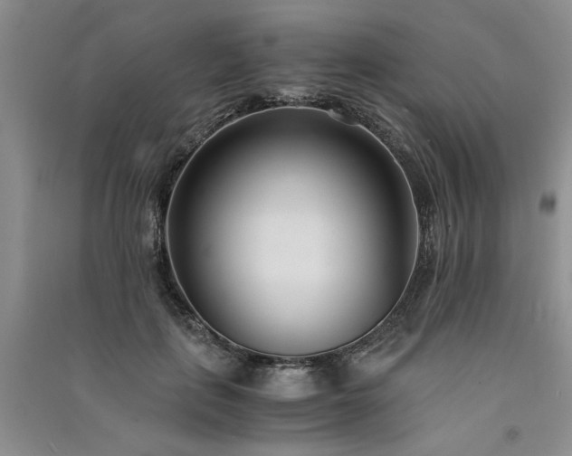 X0000091520651200708171217