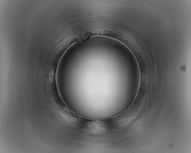 X0000091520652200708171217