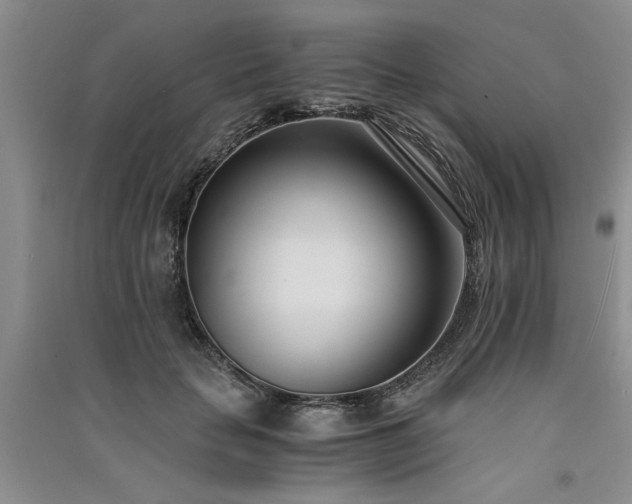 X0000091520653200708171217