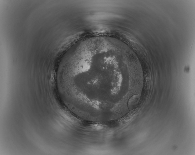 X0000091520654200708171217
