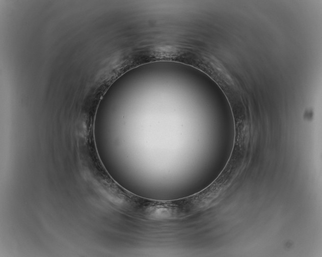X0000091520655200708171217