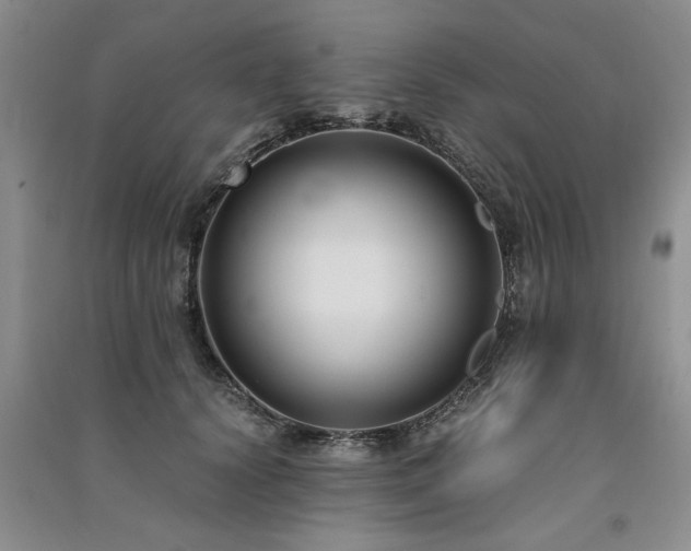 X0000091520656200708171217
