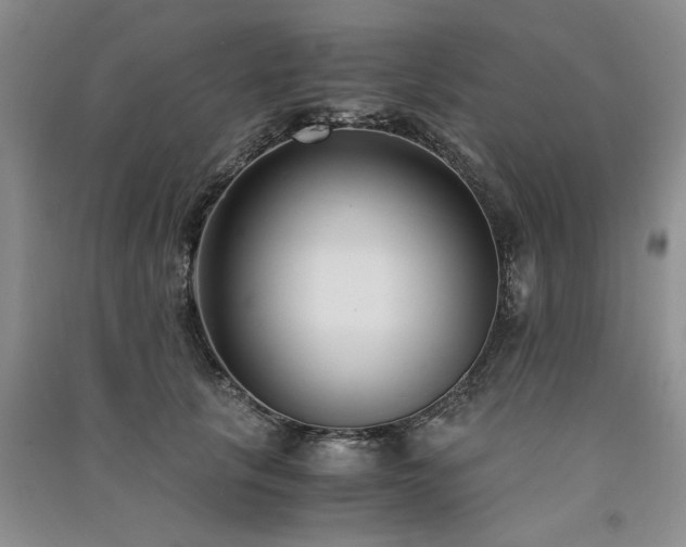 X0000091520657200708171217