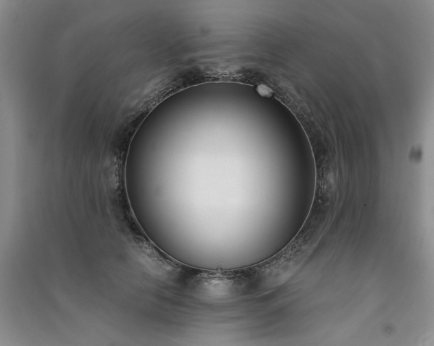 X0000091520658200708171217