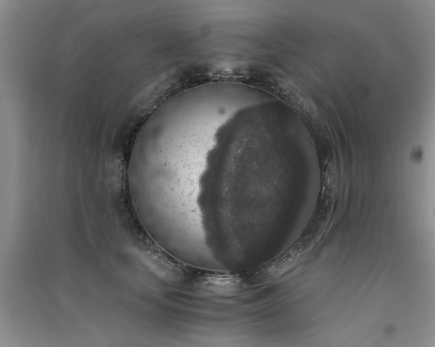 X0000091520659200708171217