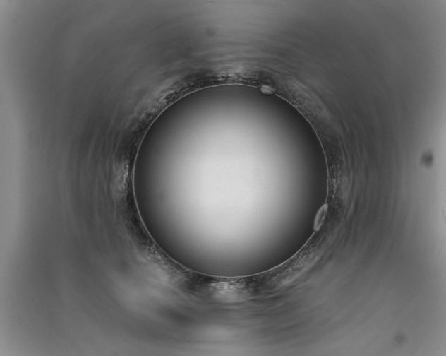X0000091520660200708171217