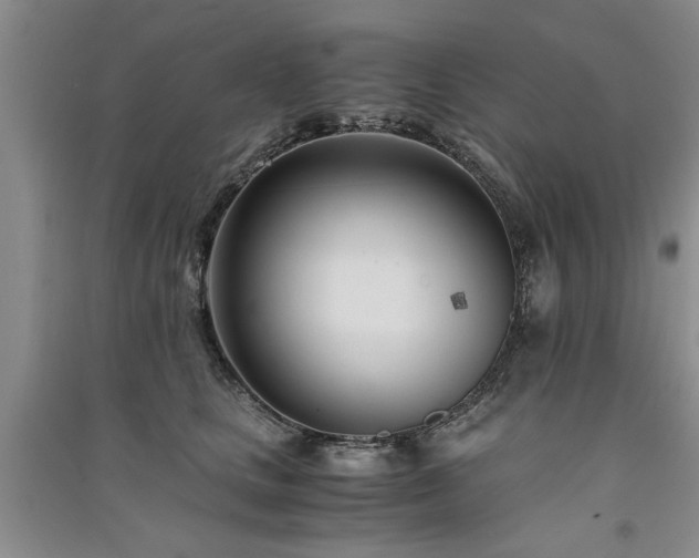 X0000091520661200708171217